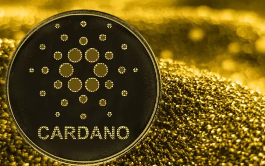 Cardano Price Plunges in Cryptocurrency Market