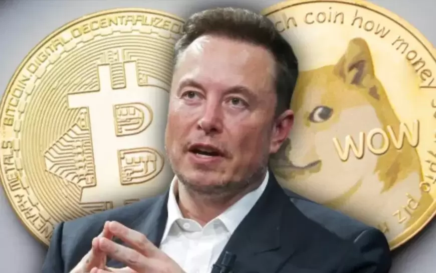 Elon Musk's Mention Boosts Solana-Based Meme Coin Dogwifhat