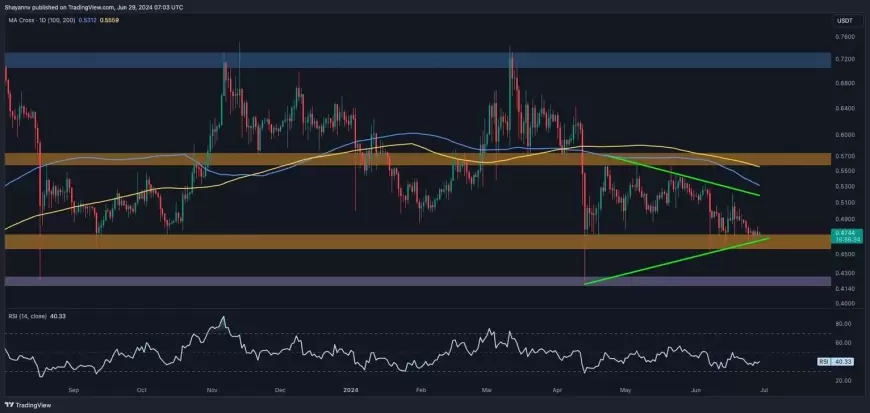 Whales Accumulate XRP Coin Despite Market Weakness